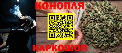 гидра Славянск-на-Кубани